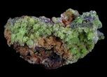 Green, Pyromorphite Crystal Cluster - Chine #34944-4